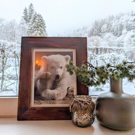 Au Petit Bois Apartment Шамони Екстериор снимка