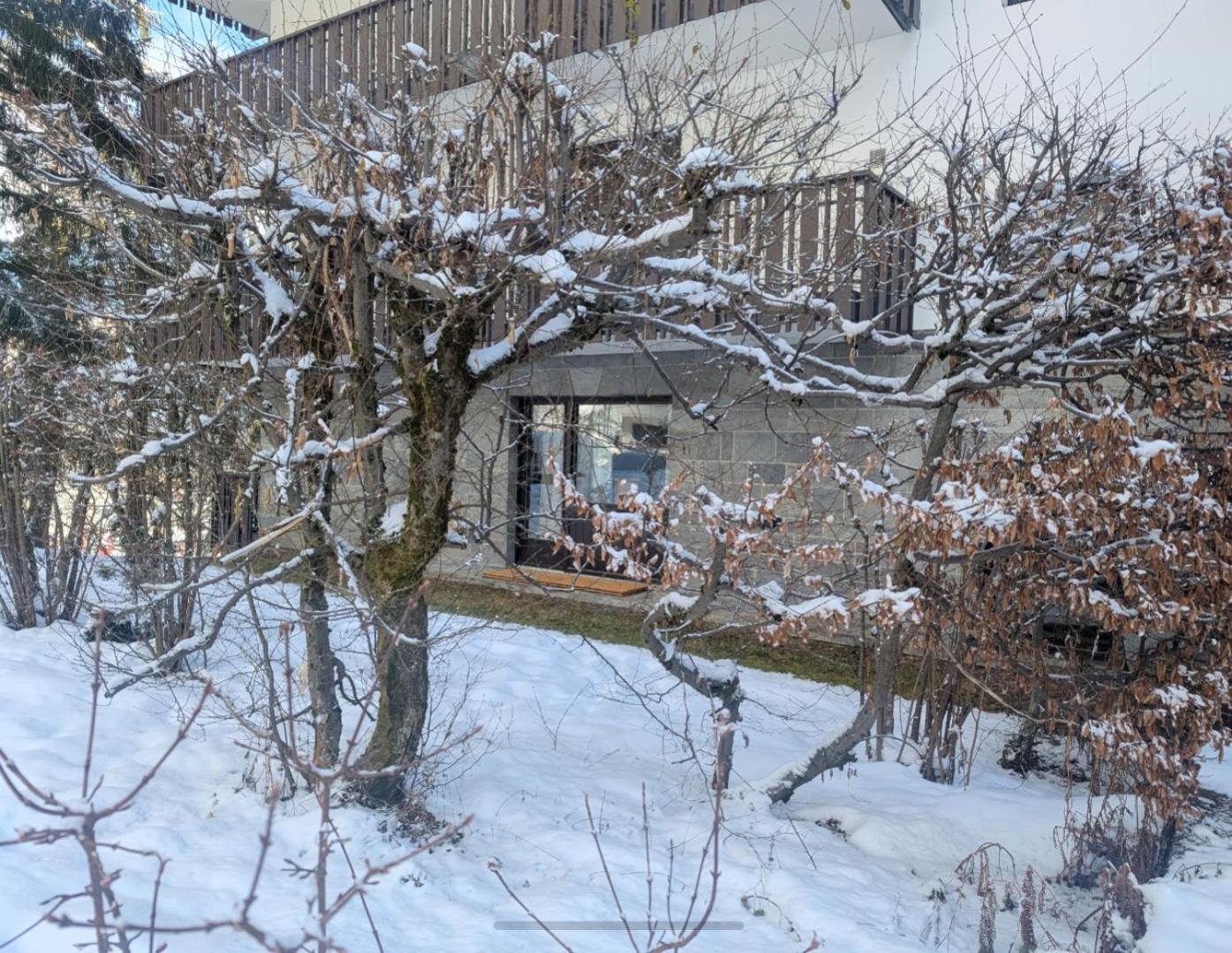 Au Petit Bois Apartment Шамони Екстериор снимка